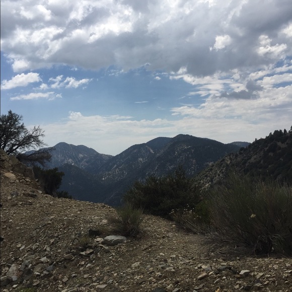 Meet your Posher, Savy - Picture 1 of 1